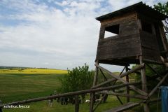 Zavody15_043.jpg