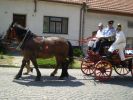 Hasici08_097.jpg